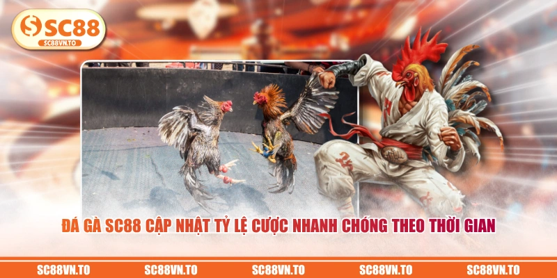 Đá Gà SC88 cập nhật tỷ lệ cược nhanh chóng theo thời gian